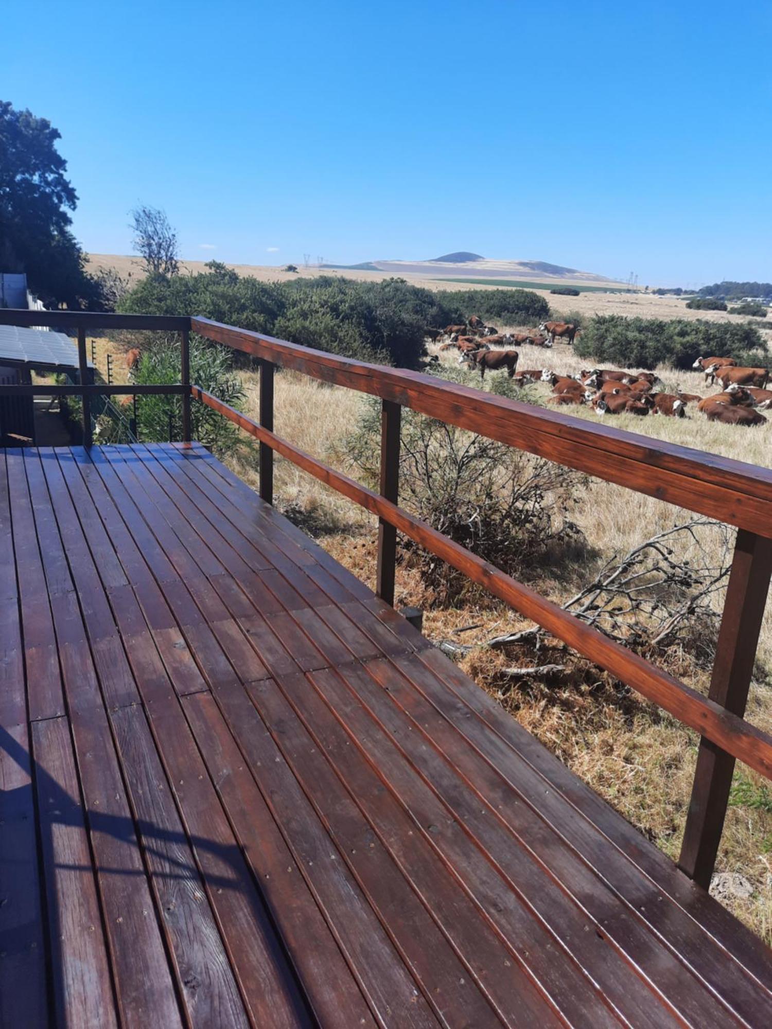 Apartment Fisantjie *